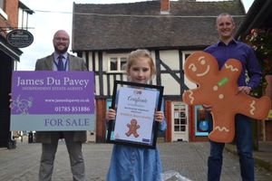 Supporting image for story