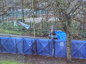 Supporting image for story: Teenager, 17, dies after car 'fails to stop for police' and crashes into tree in Halesowen