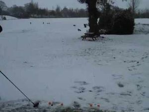 Supporting image for story: Have you tried Snowman Golf?