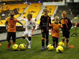 Supporting image for story: Debate kicking off over football club mascot charges