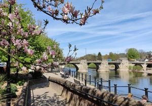 Bridgnorth. (Photo: Mat Fascione, CC BY-SA 2.0 via Wikimedia Commons)