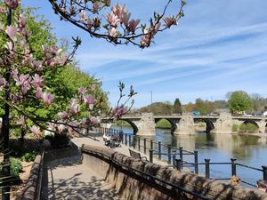 Supporting image for story: ‘It soothes the soul’: The 35 best places to live in the West Midlands according to you