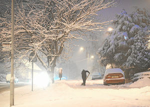 A picturesque winter scene in Wellington which saw residents busy clearing snow from their driveways on December 22, 2010.