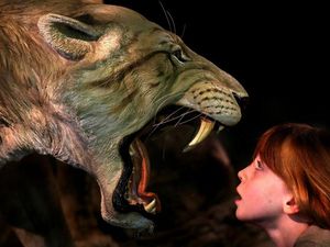 Supporting image for story: Tough times helped our brains grow bigger, scientists find