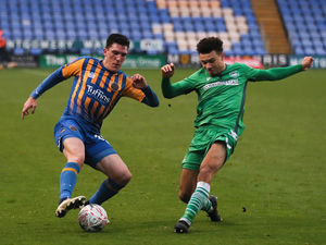 Supporting image for story: Steve Cotterill urges Shrewsbury Town loanee Matt Millar to keep on learning
