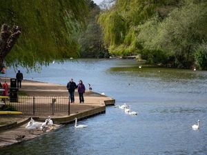 Supporting image for story: How does the Scientific Advisory Group for Emergencies work?