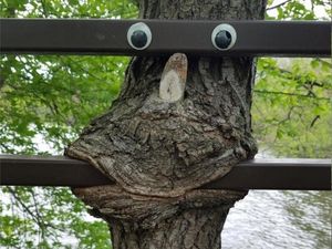 Supporting image for story: 12 bizarre corners of Reddit that prove it’s the oddest place on the internet