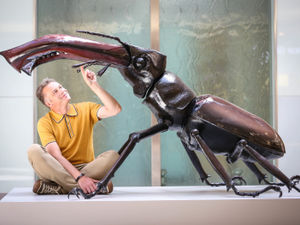 Supporting image for story: Big bugs invade Merry Hill