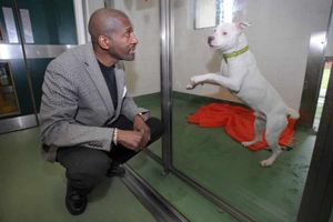 Willard gets up close and personal with one of the dogs