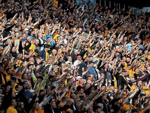 Supporting image for story: Wolves 1877 Trust urges club to freeze ticket prices for next season