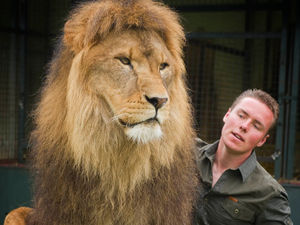 Supporting image for story: Staffordshire lion tamer blasts Scottish bill to ban circus animals