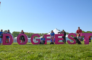Next stop for the DogFest team is Knebworth on 6th and 7th June!