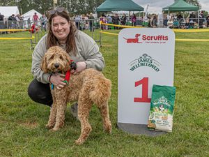 Supporting image for story: 'Good Citizen' Ozzy the crossbreed dog will help put the Black Country on the map at Crufts 2026