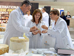 Supporting image for story: Big cheese contest under way