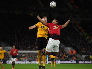 Supporting image for story: Wolves have the fear factor says Matt Doherty