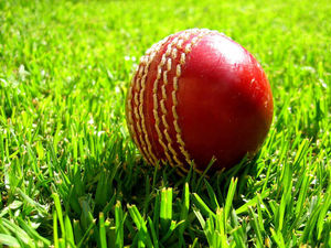 Supporting image for story: Cricket club holding race night fundraiser to pay for new sight-screens