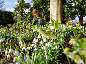 Supporting image for story: Market Drayton's Dorothy Clive Garden welcomes new curator