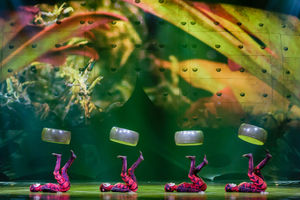 Cirque du Soleil OVO. Pictures by: Chris Bowley