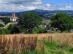 Supporting image for story: Row over bid to cut down oak trees in Ludlow