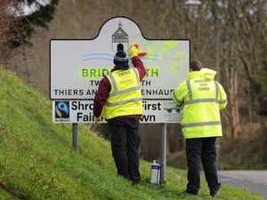 Supporting image for story: Neon graffiti sprayed over play park, bus shelters and road signs in Bridgnorth