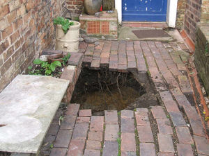 Supporting image for story: Woman rescued as 30ft hole opens under her in Broseley garden