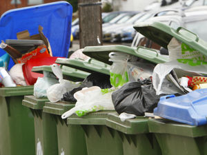 Supporting image for story: Peter Rhodes on a tuneless nation, getting billed for a bin and young people drifting to the right