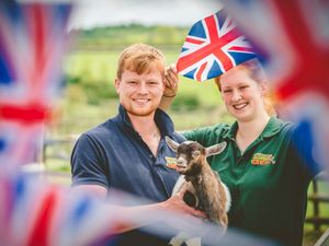 Supporting image for story: Meet Lizzie, the Pygmy goat named in honour of Jubilee 