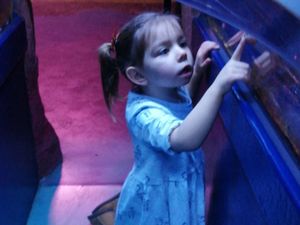 Supporting image for story: Family creates special memories after Piper's heart-breaking 'one-in-a-million' diagnosis 