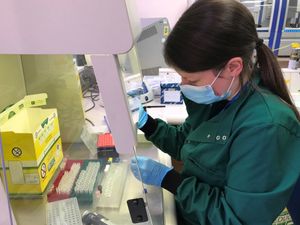 Supporting image for story: Shropshire scientists at the heart of the battle against coronavirus