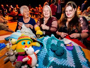Supporting image for story:  Telford's Celebration of Age festival launch draws 250 people 