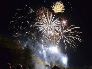 Supporting image for story: Firework displays will light up Shrewsbury skies