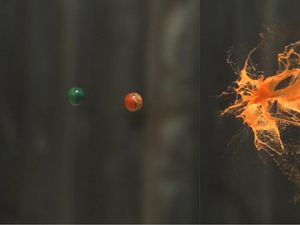 Supporting image for story: These paintballs colliding in mid-air in super slow-motion will leave you feeling oddly-satisfied