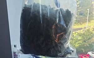 Officers recovered a quantity of cannabis, suspected counterfeit cash, and multiple mobile phones from the address. Photo: West Mercia Police