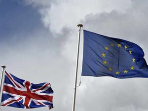 Supporting image for story: Letter: Take in facts of EU membership – not myths over bent bananas