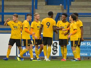 Supporting image for story: Rob Edwards: A huge ask for Wolves U23s to break through