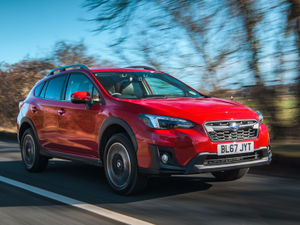 Supporting image for story: Taking the rough with the smooth