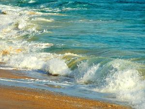 Supporting image for story: Mass extinction event ‘disrupted’ ocean ecosystems for millions of years