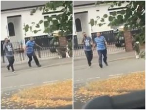 Supporting image for story: WATCH: Appeal to trace 'laughing men' who watched dog kill cygnet