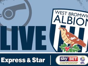 Supporting image for story: Luton 2-0 West Brom - As it happened