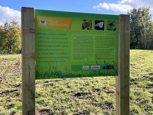New Butterfly Conservation sign at Stanmore Country Park