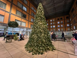 Two Christmas trees have been lit up on Level 5 of Midland Met.