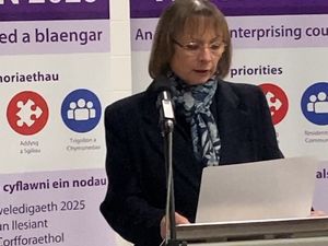 Supporting image for story:  Councillors to interview candidates for the top job in Powys