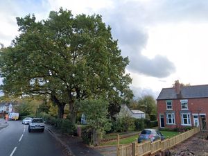 Supporting image for story: Application submitted to fell two protected oak trees that are causing damage to a nearby cottage