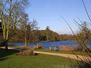 Supporting image for story: Beauty spot restaurant to make loss