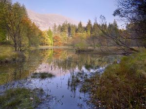 Supporting image for story: Wild landscape in Lake District designated as ‘super’ national nature reserve