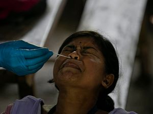 Supporting image for story: India due to become pandemic’s worst-hit country within weeks