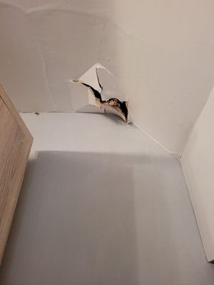 Damage to the ceiling of a property, inflicted by Christopher Wood.