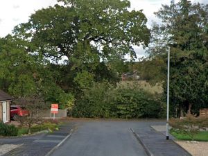 Supporting image for story: Plans lodged for eight bungalows in village near Bridgnorth