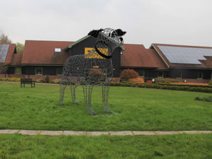 Supporting image for story: Giant memorial statue plan for Shrewsbury Dog's Trust