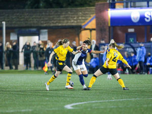 Supporting image for story: Wolves Women 3 West Brom Women 1 - as it happened 